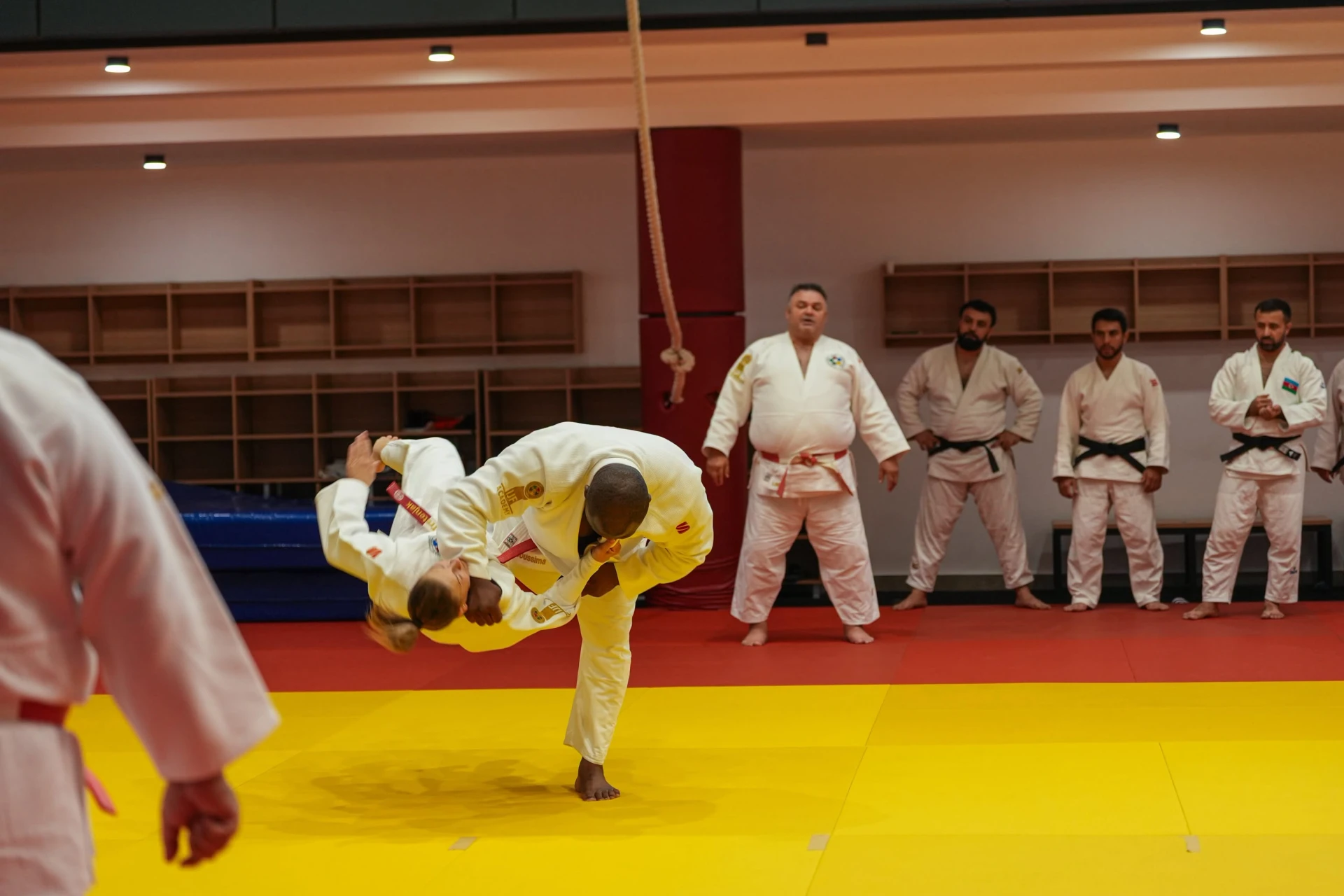 Bakıda BCF Akademiyasının cüdo məşqçiliyi üzrə sertifikat proqramına start verilib
