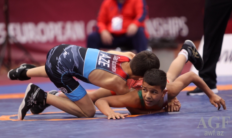 Azərbaycanın iki güləşçisi AÇ-də gümüş medal qazandı