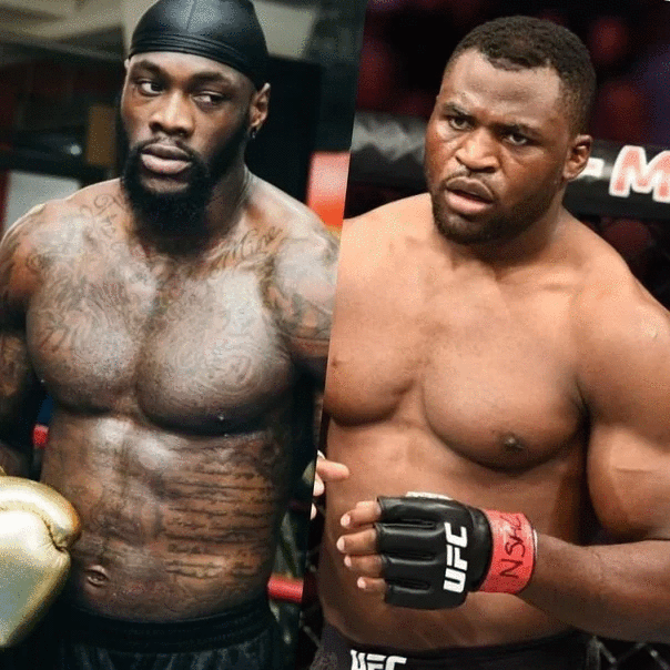 Nqannu Uaylderlərlə Afrikafa qarşılaşa bilər 