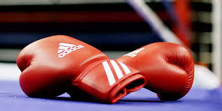 Boks üzrə növbəti dünya çempionatına ev sahibliyi edəcək ölkələr açıqlanıb