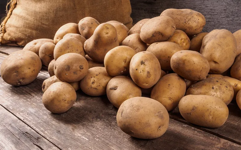 Danirmaka çempionatında qəribə olay: Oyunun ən yaxşısı seçildi, mükafatı kartof oldu