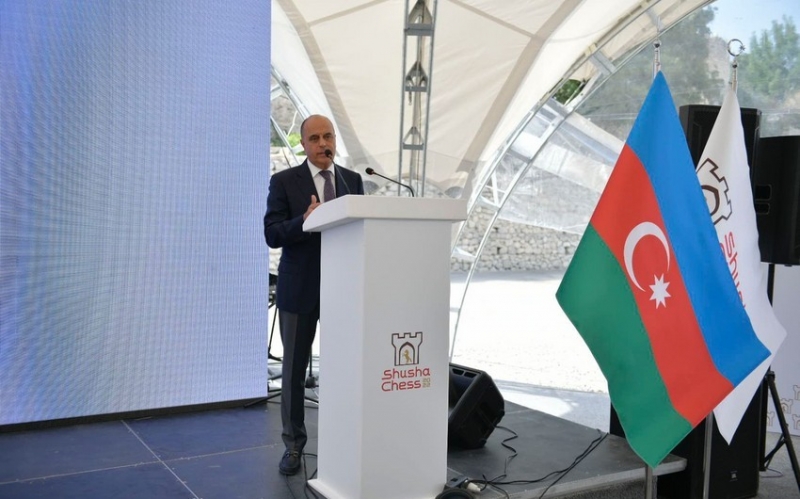 "De Byazinin millidən getməsinin əleyhinəyəm" - AFFA İcraiyyə Komitəsinin üzvü