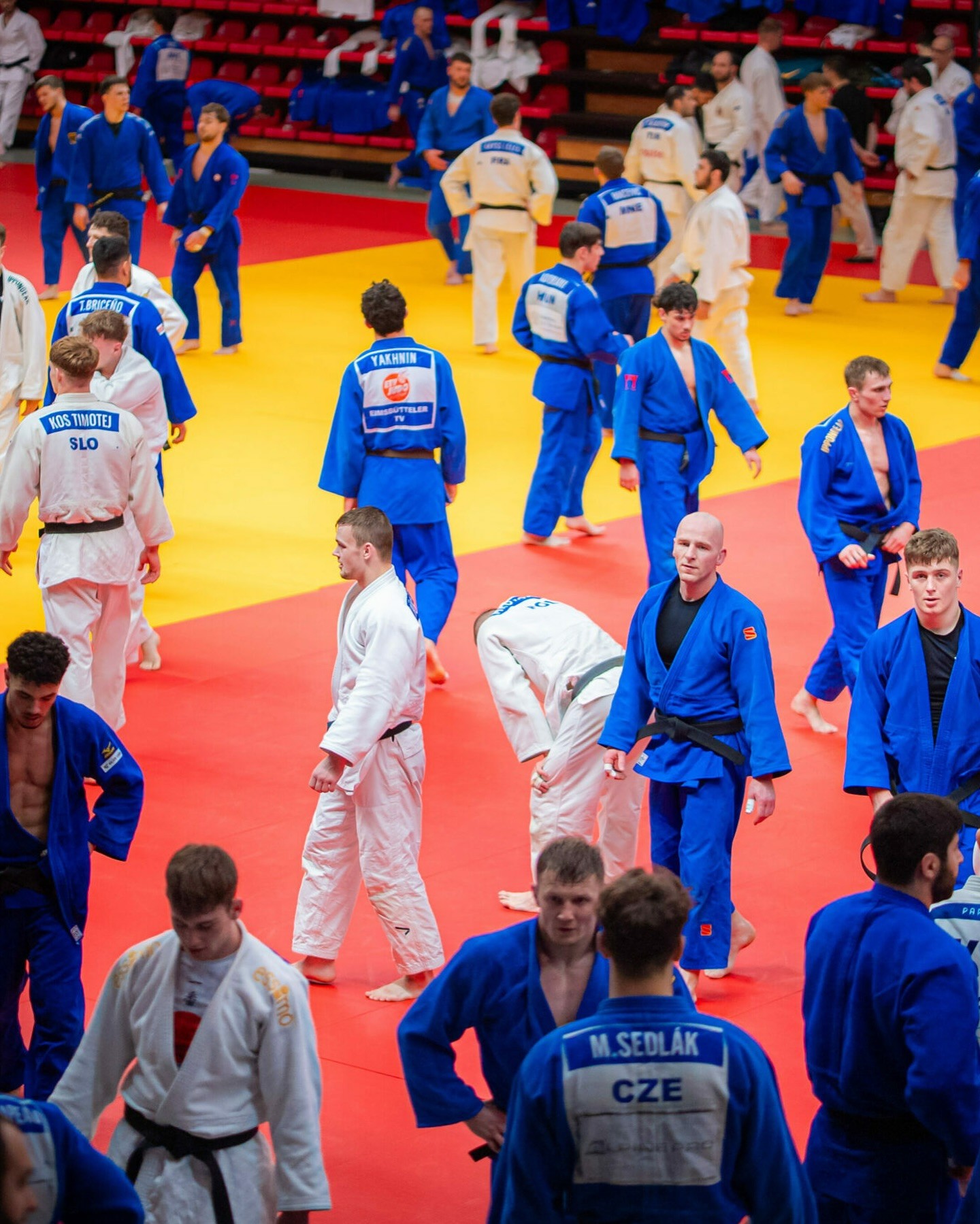 Cüdoçularımız Çexiyada toplanışdadır