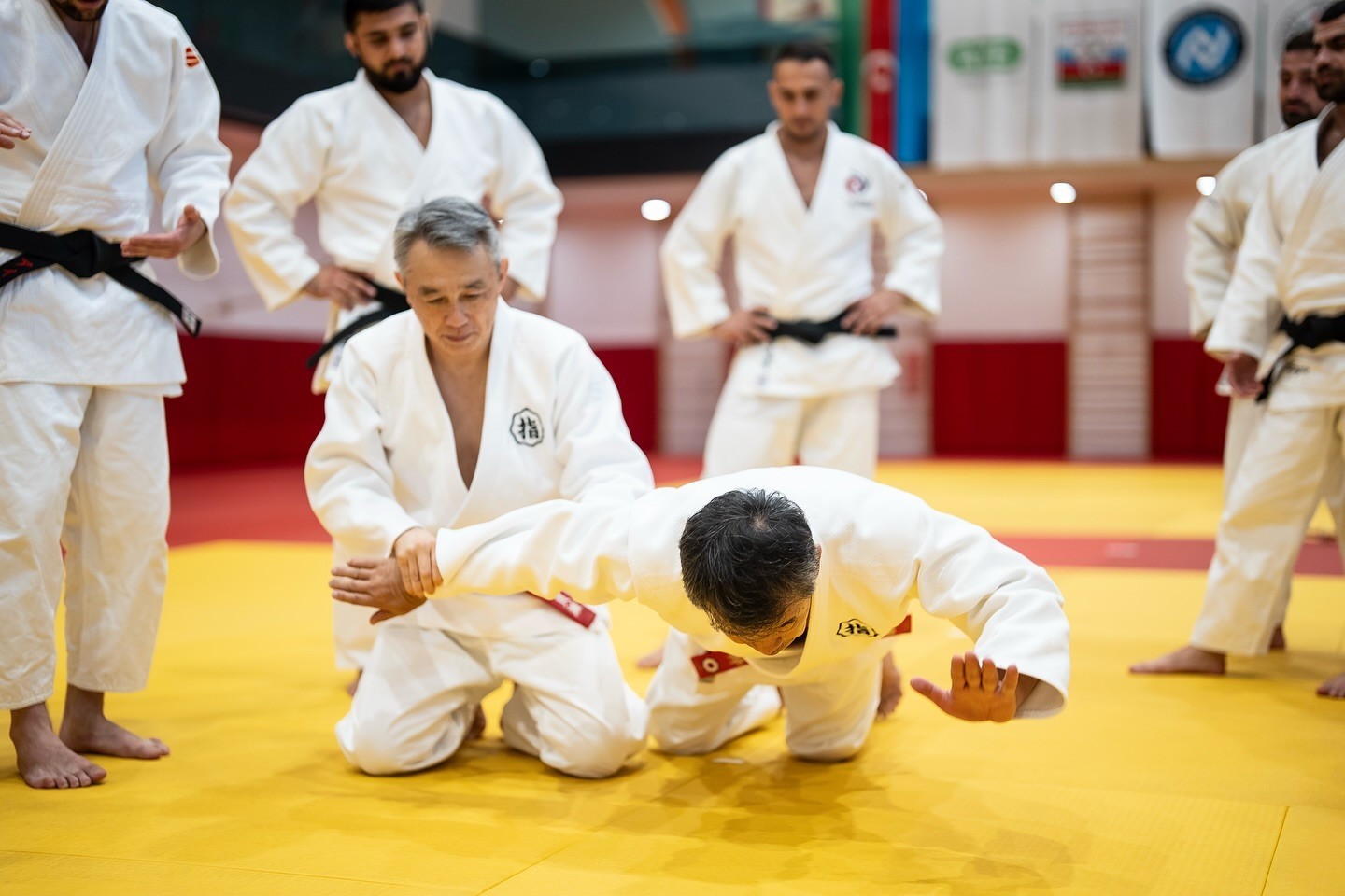 Bakıda ne-vaza üzrə seminar