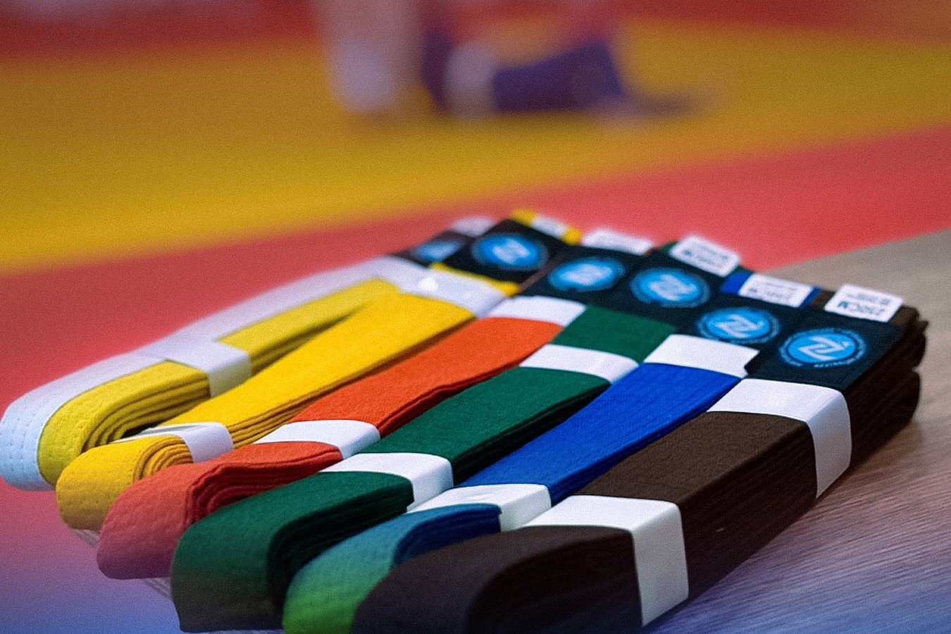 Naxçıvanda cüdoçular üçün kəmər dərəcəsi imtahanı keçiriləcək