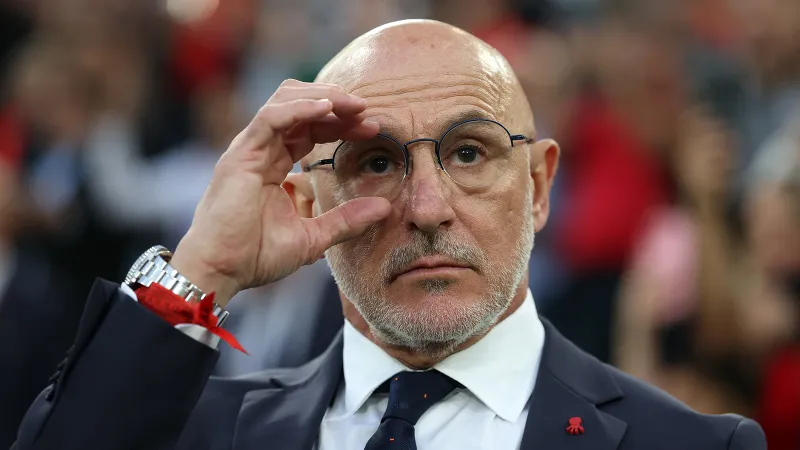 İspaniya millisinin baş məşqçisi: "Vicdanım təmizdir"