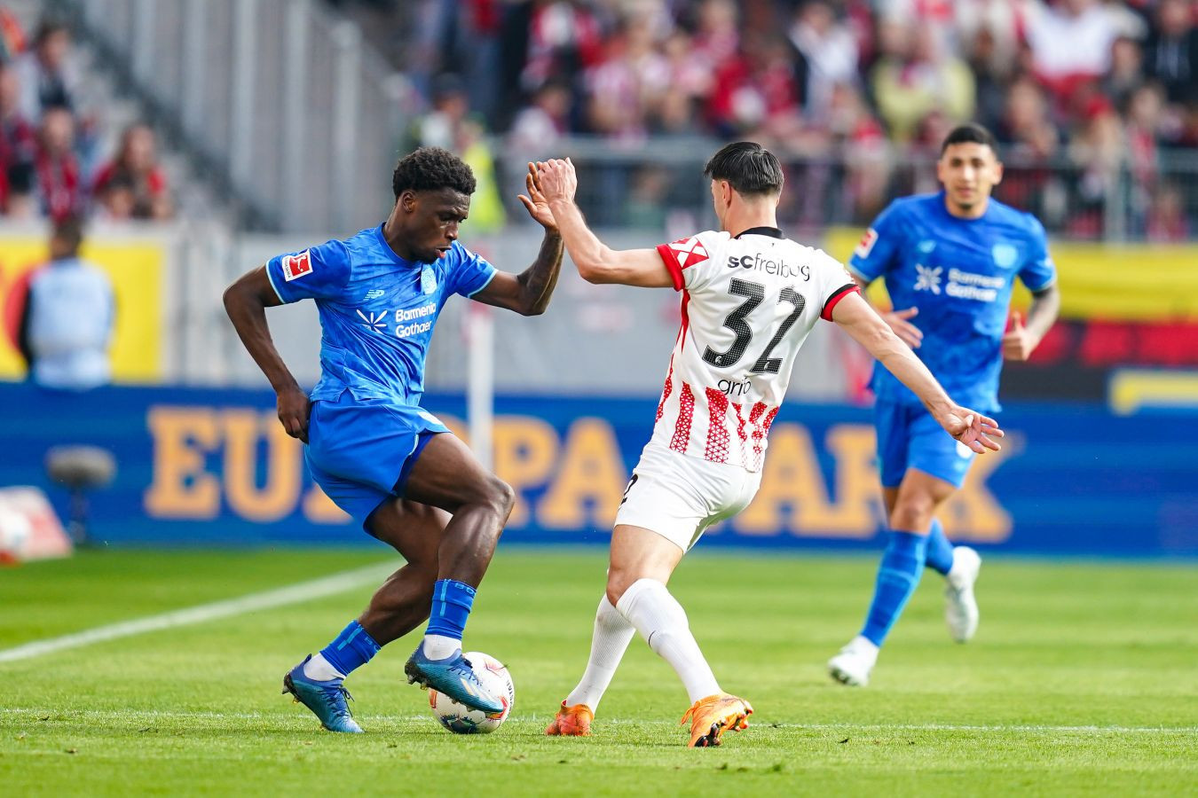 “Bayer”lə “Frayburq”dan məhsuldar heç-heçə